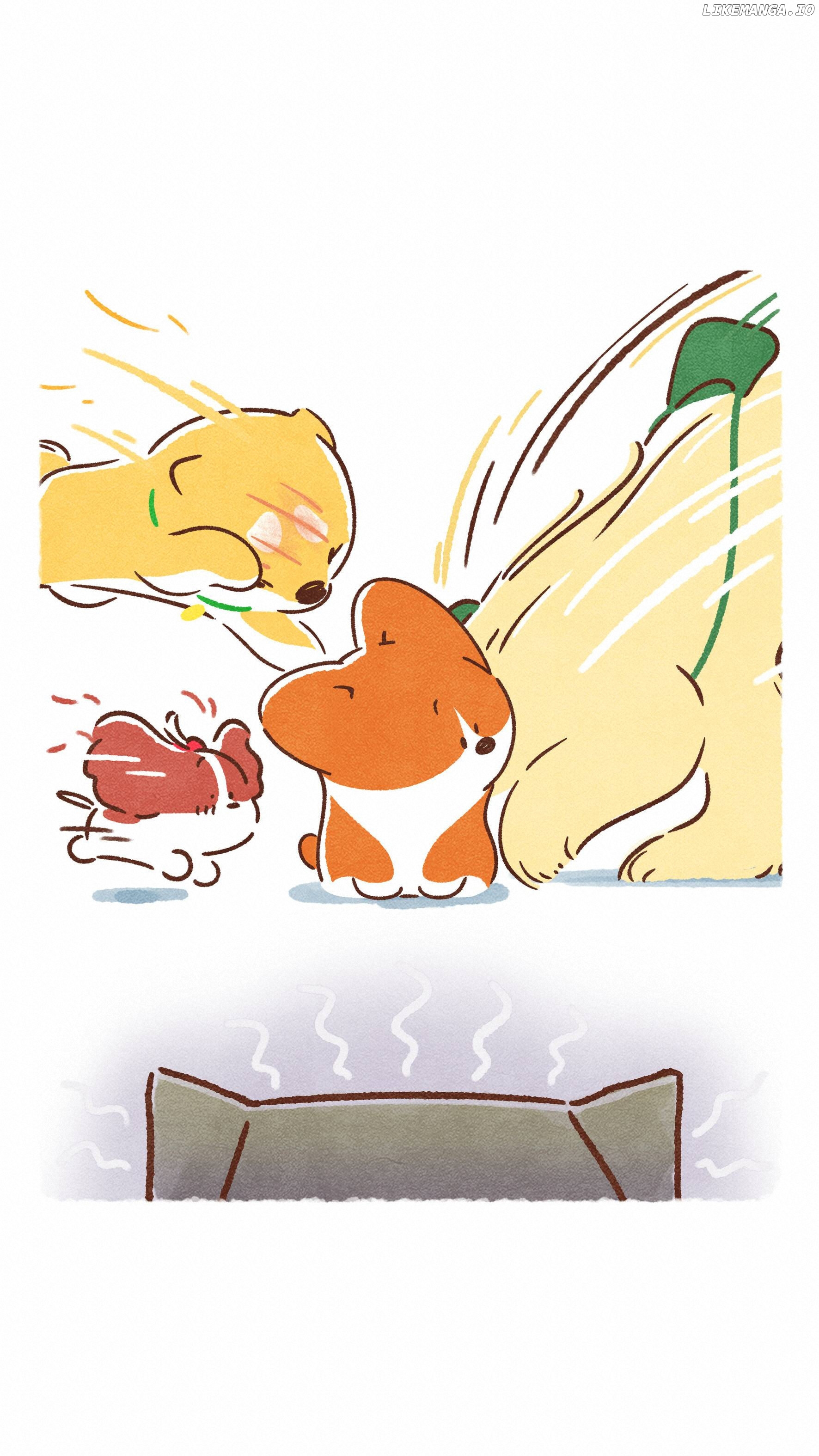 Doggie Corgi chapter 11 - page 10