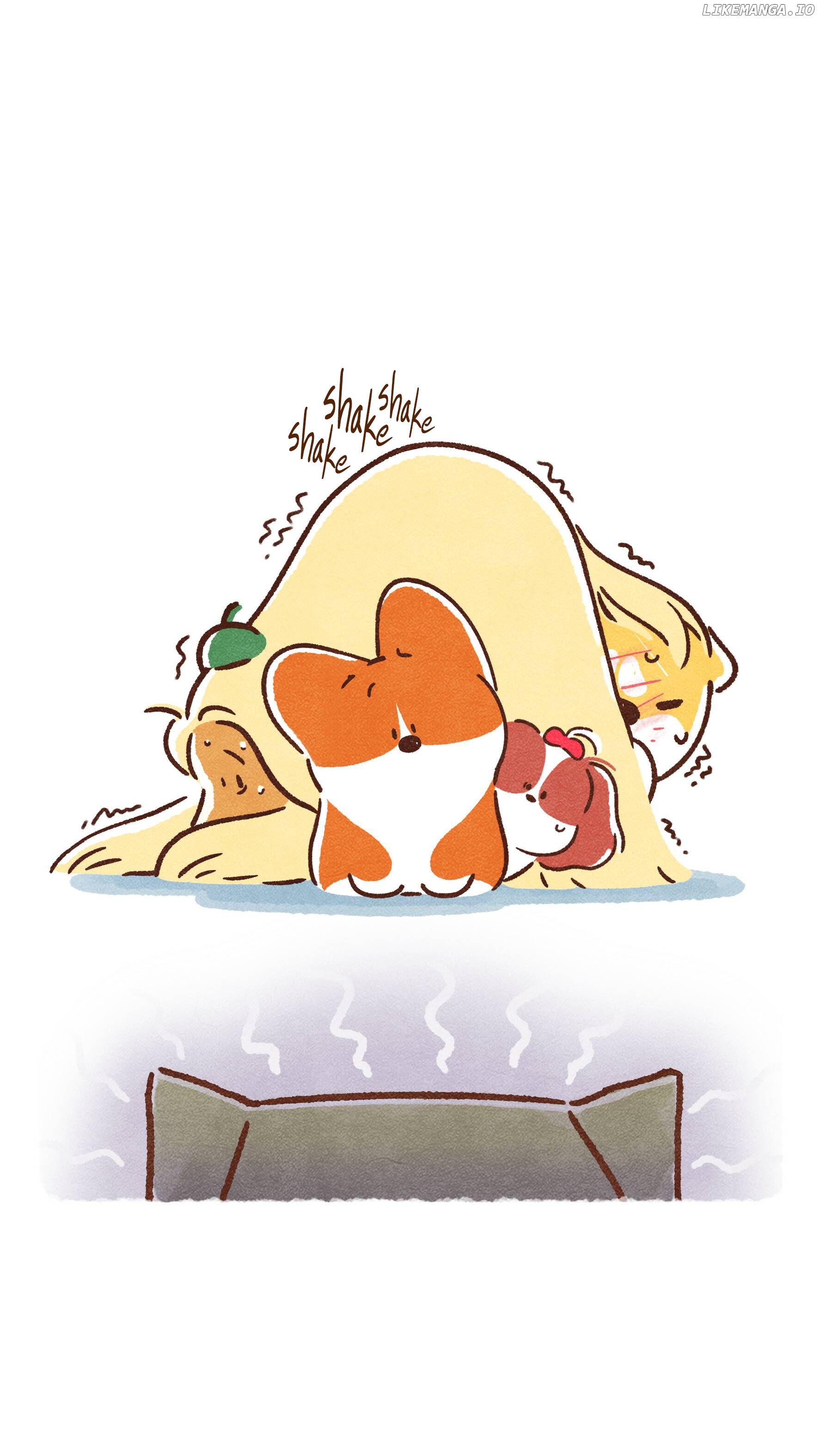 Doggie Corgi chapter 11 - page 11