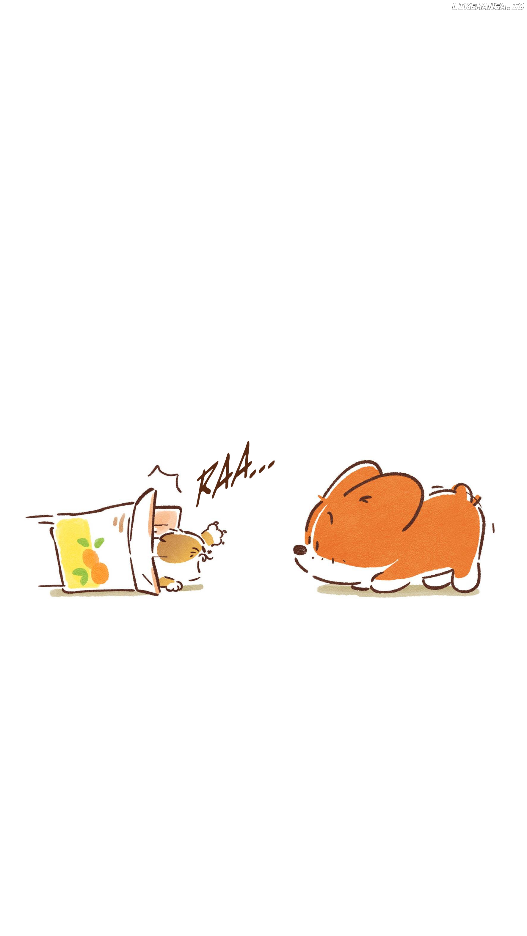 Doggie Corgi chapter 11 - page 13