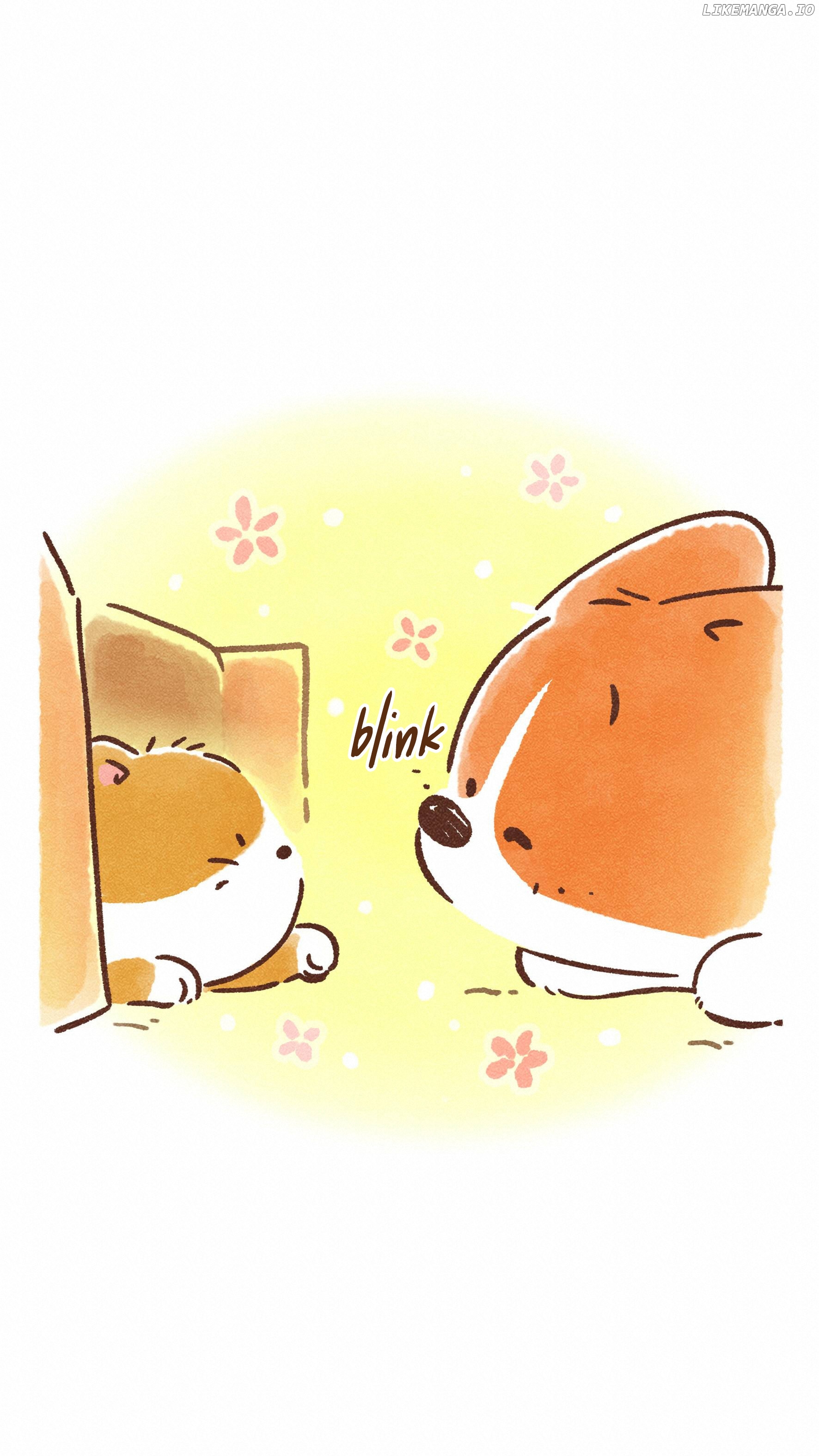 Doggie Corgi chapter 11 - page 14