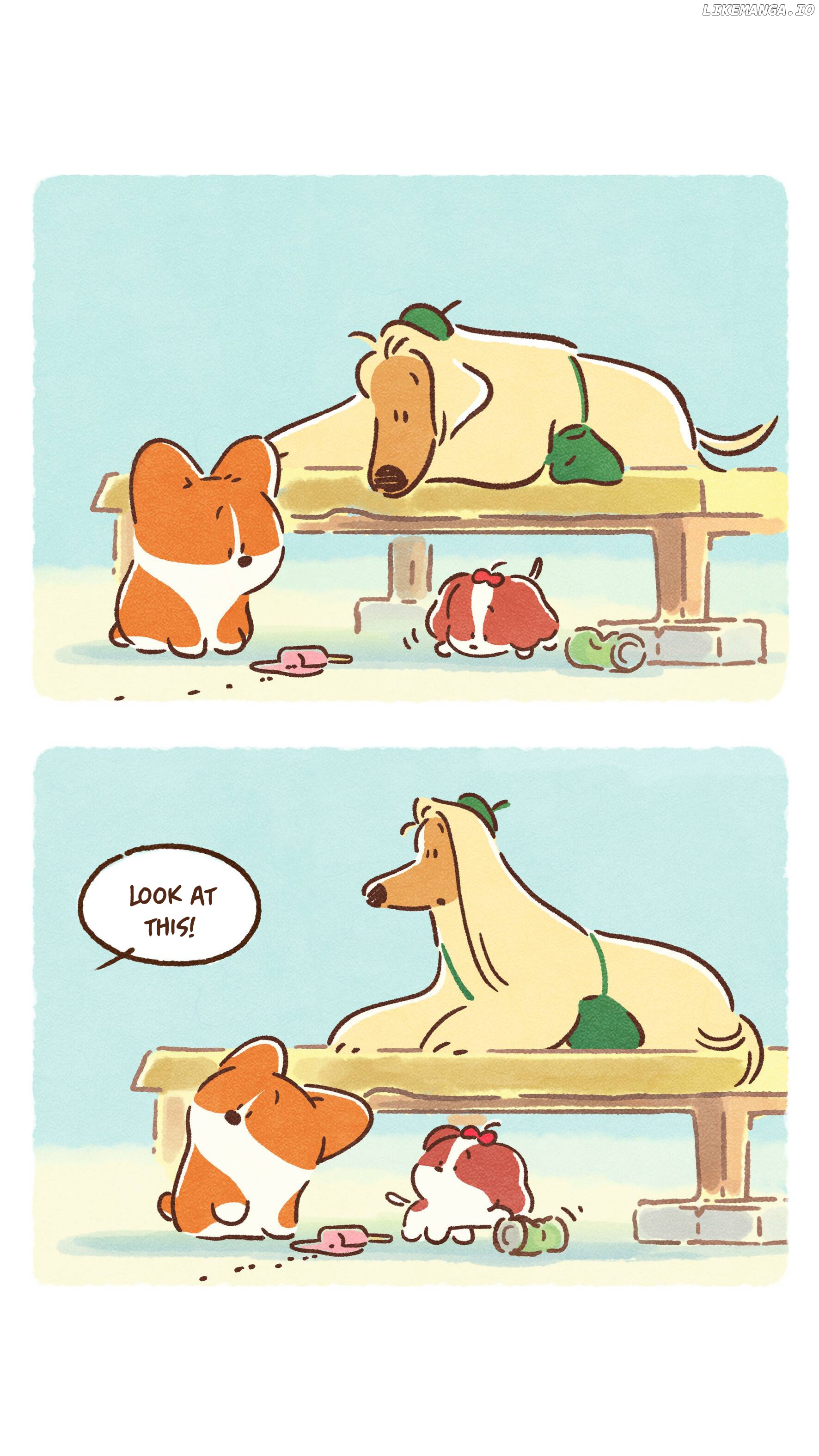 Doggie Corgi chapter 11 - page 5