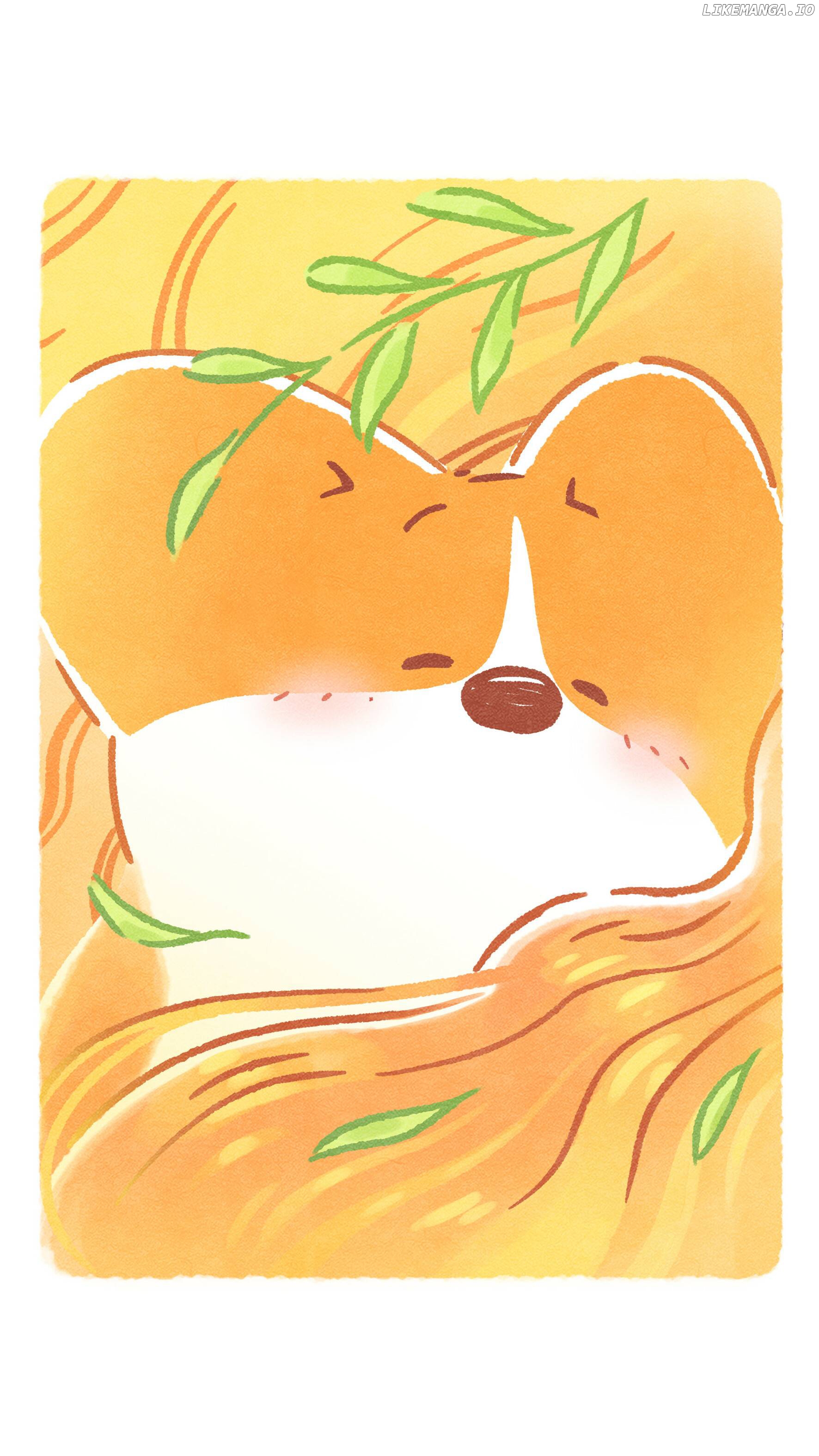 Doggie Corgi chapter 9 - page 13