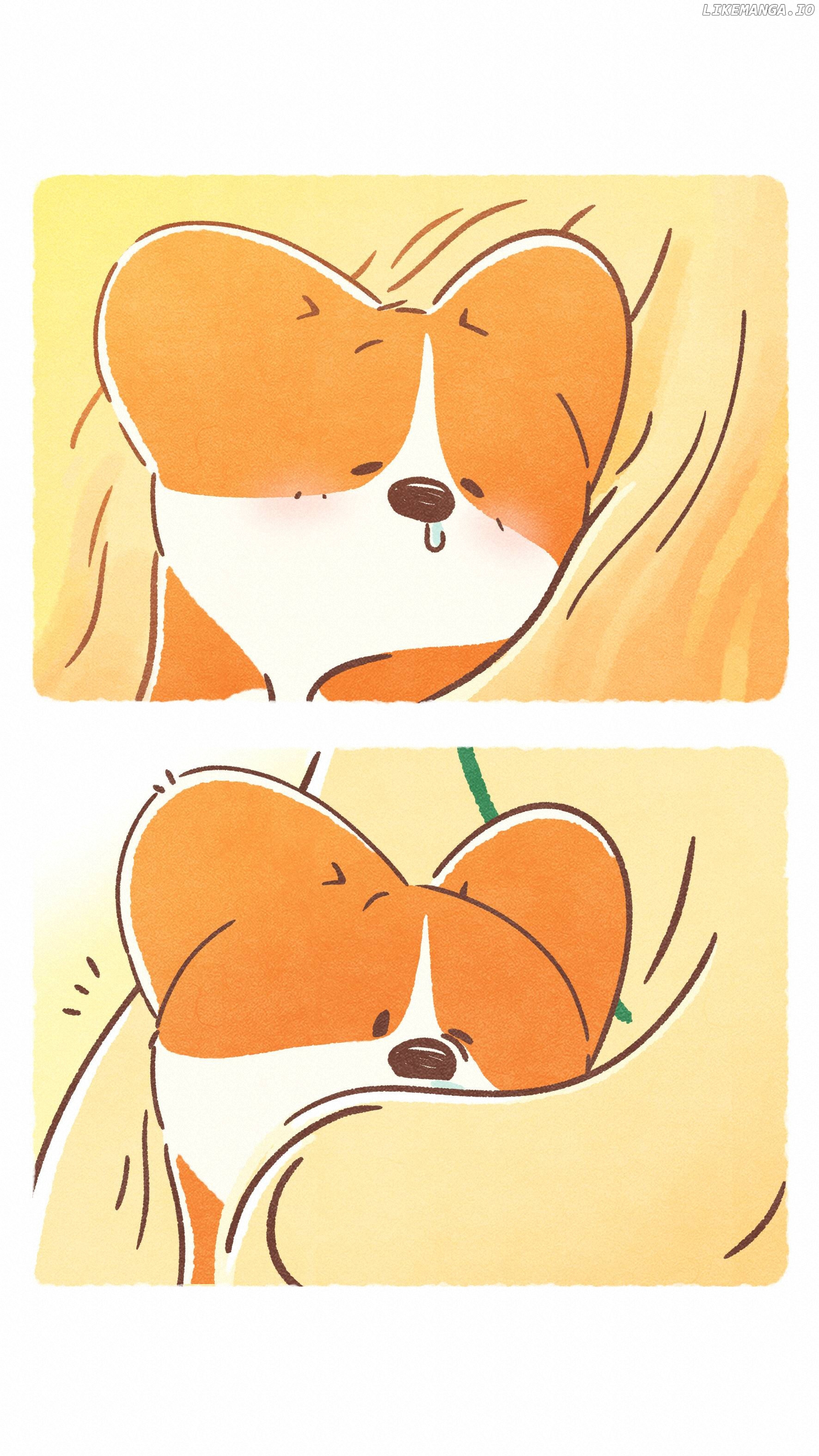 Doggie Corgi chapter 9 - page 14