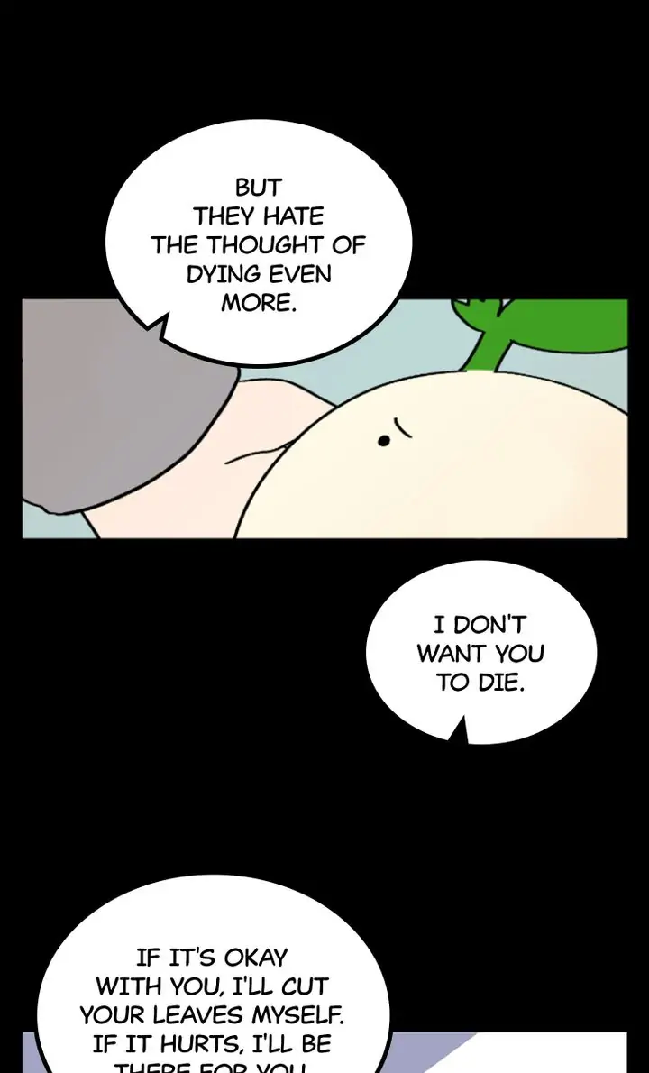 A Vegetarian's Pet Vegetable Chapter 5 - page 25