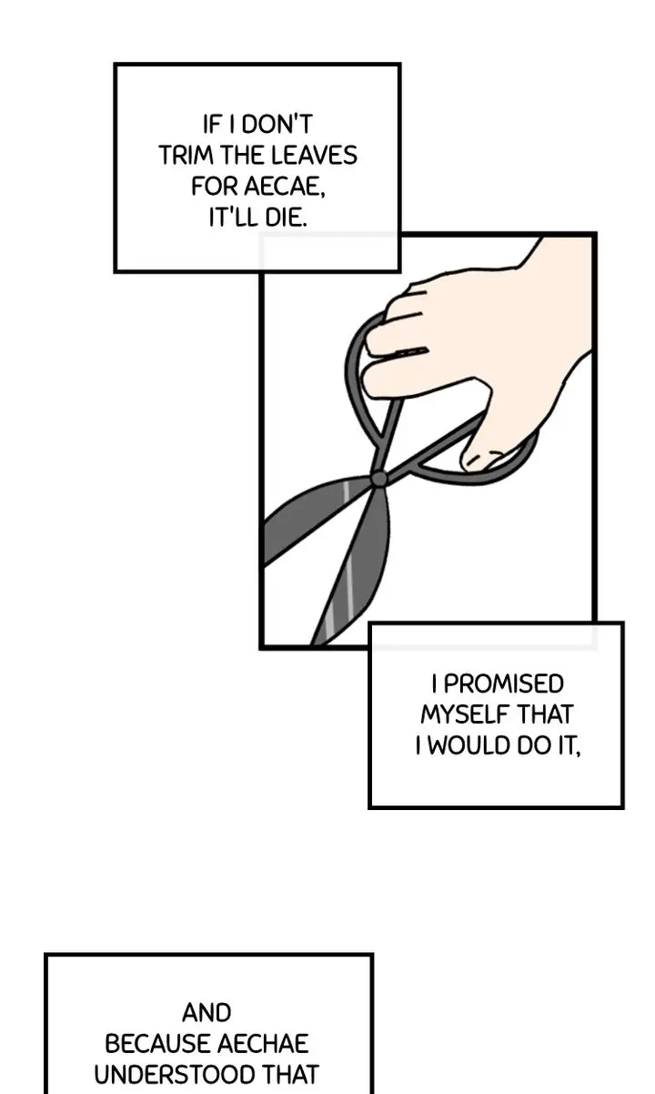 A Vegetarian's Pet Vegetable Chapter 9 - page 29