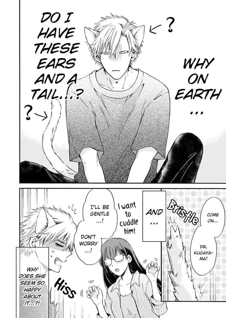 Neko mo Kuwanai Keiyaku Kekkon Chapter 3 - page 2