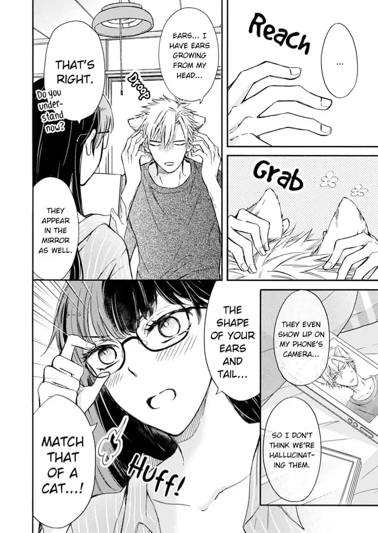 Neko mo Kuwanai Keiyaku Kekkon Chapter 3 - page 4