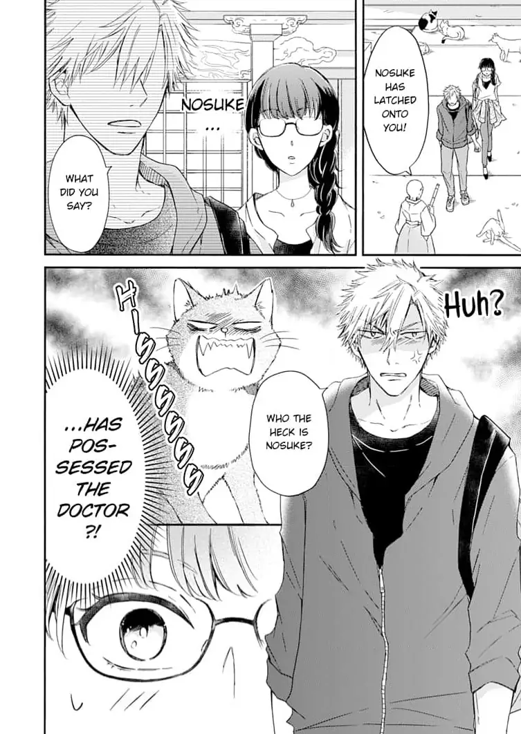 Neko mo Kuwanai Keiyaku Kekkon Chapter 4 - page 2