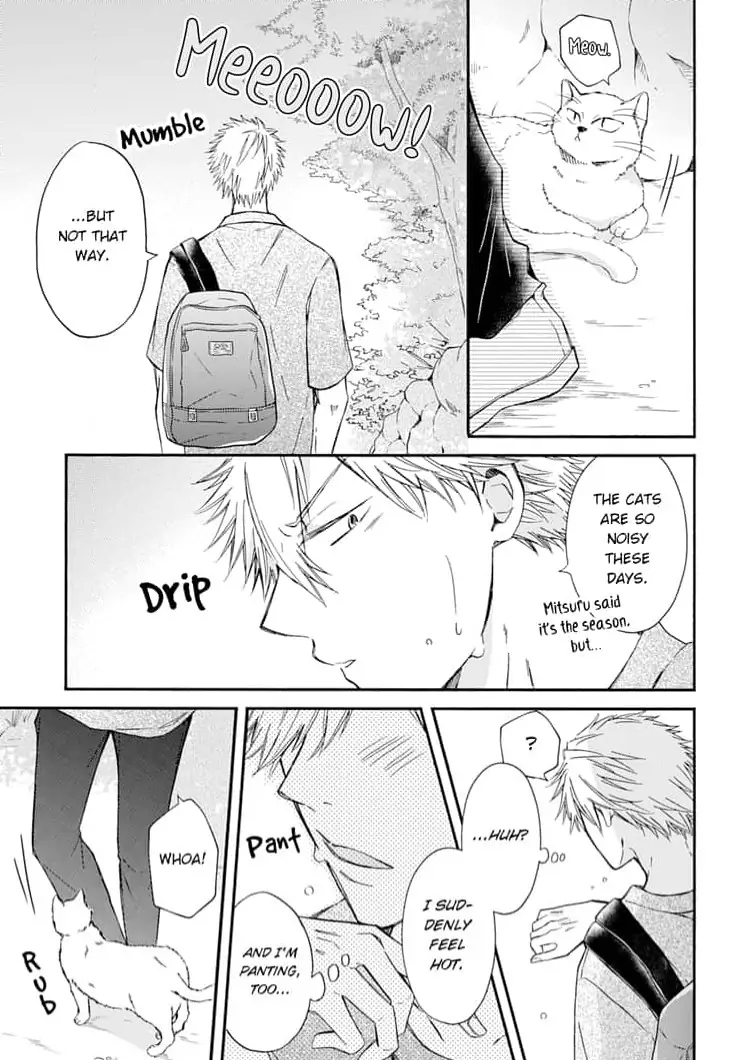 Neko mo Kuwanai Keiyaku Kekkon Chapter 4 - page 25