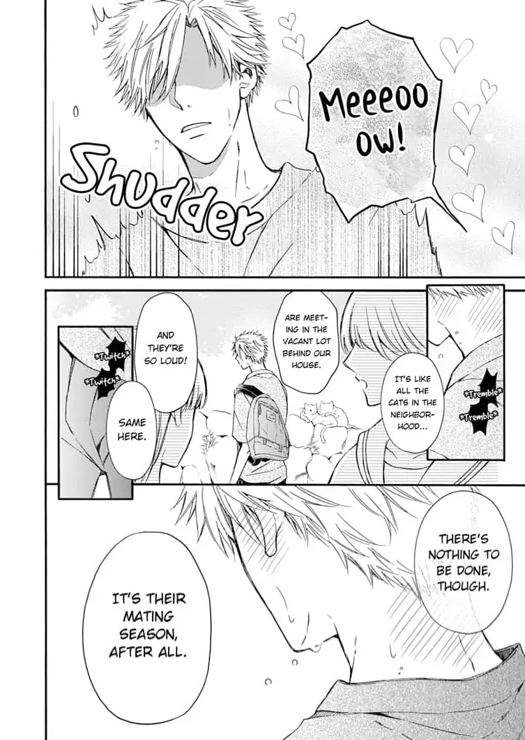 Neko mo Kuwanai Keiyaku Kekkon Chapter 4 - page 26