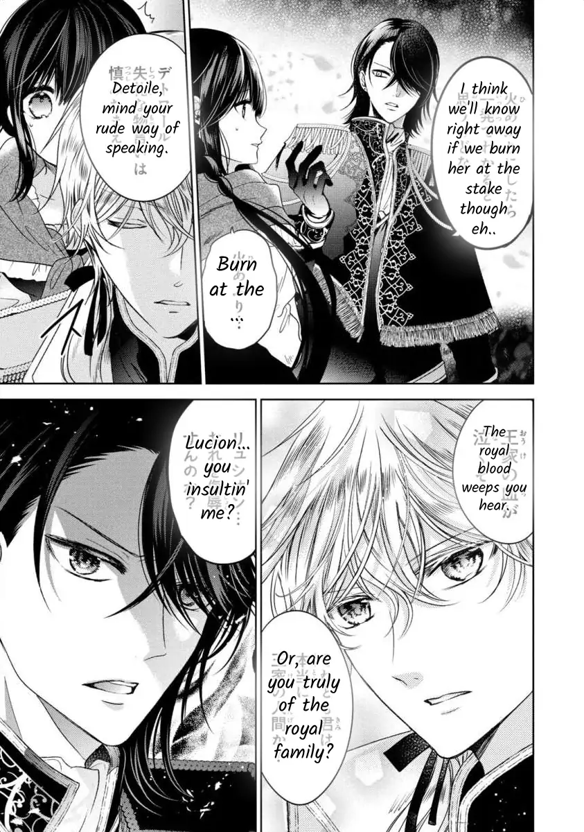 Majo Maid wa Joo no Himitsu wo Shitteiru Chapter 1 - page 25