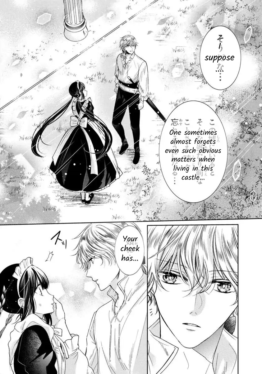 Majo Maid wa Joo no Himitsu wo Shitteiru Chapter 2 - page 17