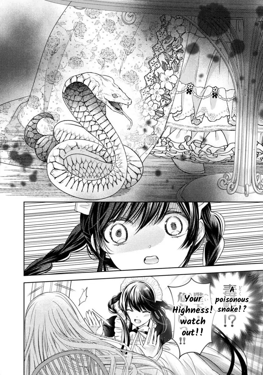 Majo Maid wa Joo no Himitsu wo Shitteiru Chapter 2 - page 30