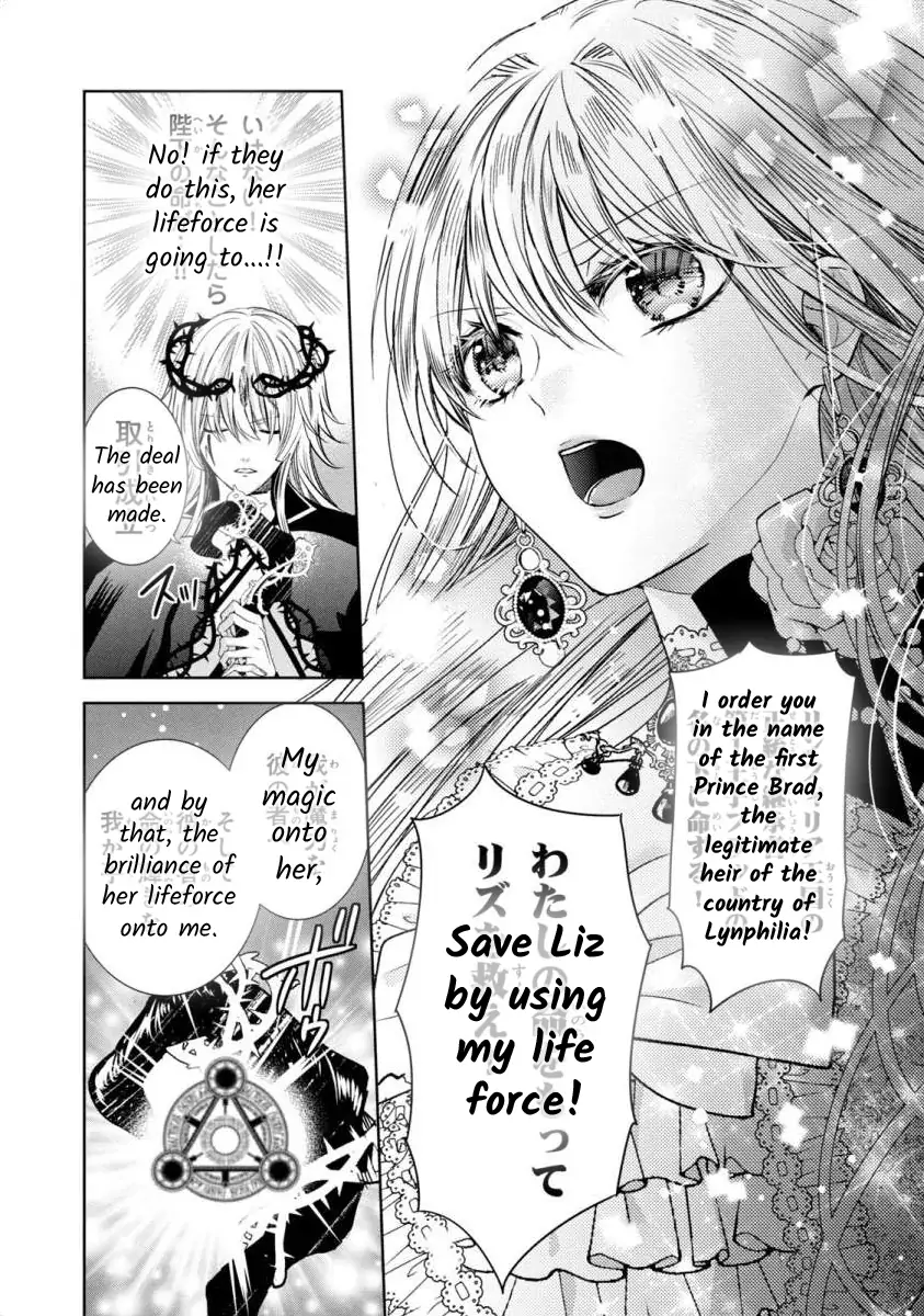 Majo Maid wa Joo no Himitsu wo Shitteiru Chapter 3 - page 24