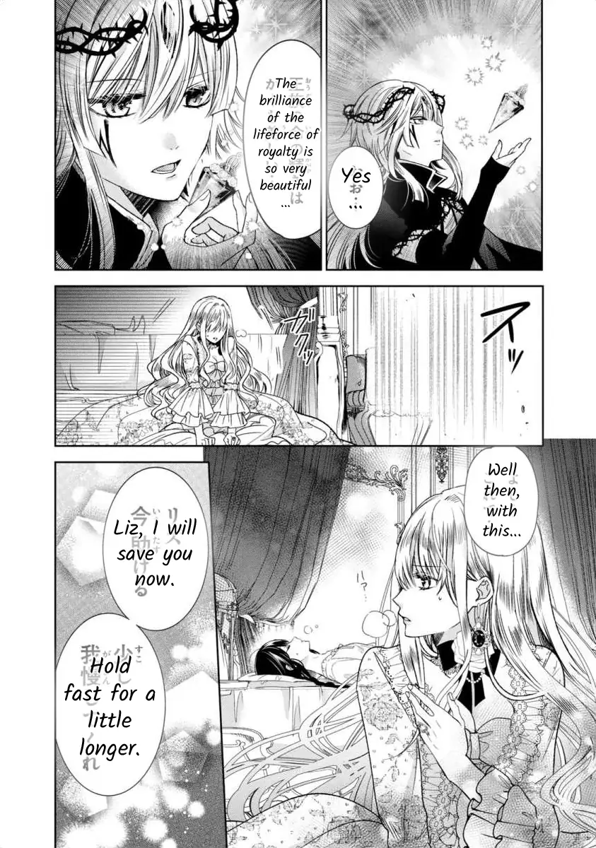 Majo Maid wa Joo no Himitsu wo Shitteiru Chapter 3 - page 26