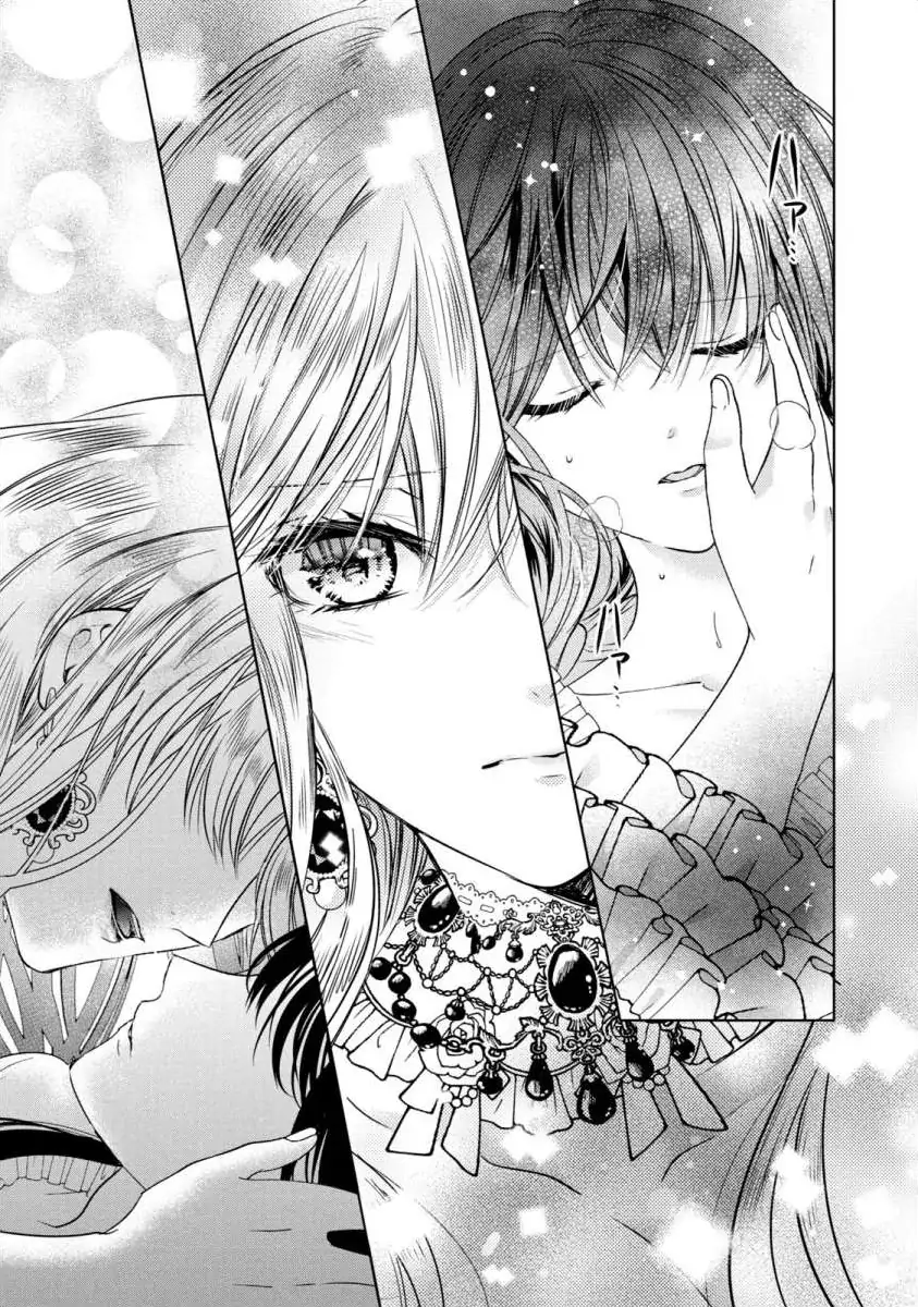 Majo Maid wa Joo no Himitsu wo Shitteiru Chapter 3 - page 27
