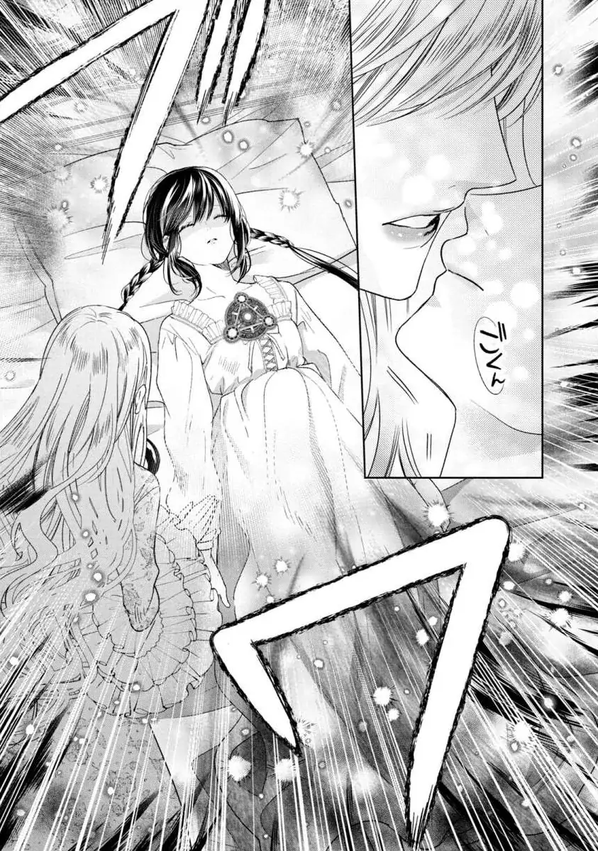 Majo Maid wa Joo no Himitsu wo Shitteiru Chapter 3 - page 29