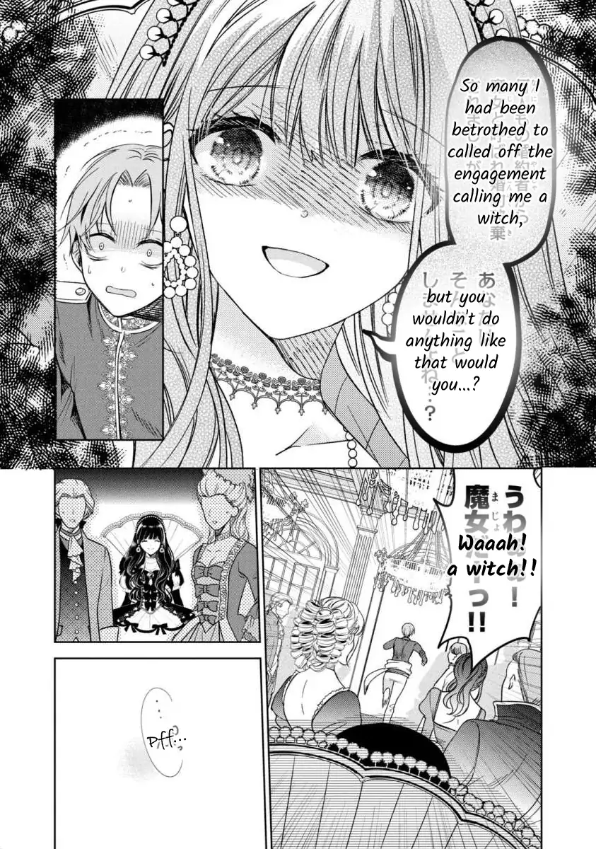 Majo Maid wa Joo no Himitsu wo Shitteiru Chapter 4 - page 25