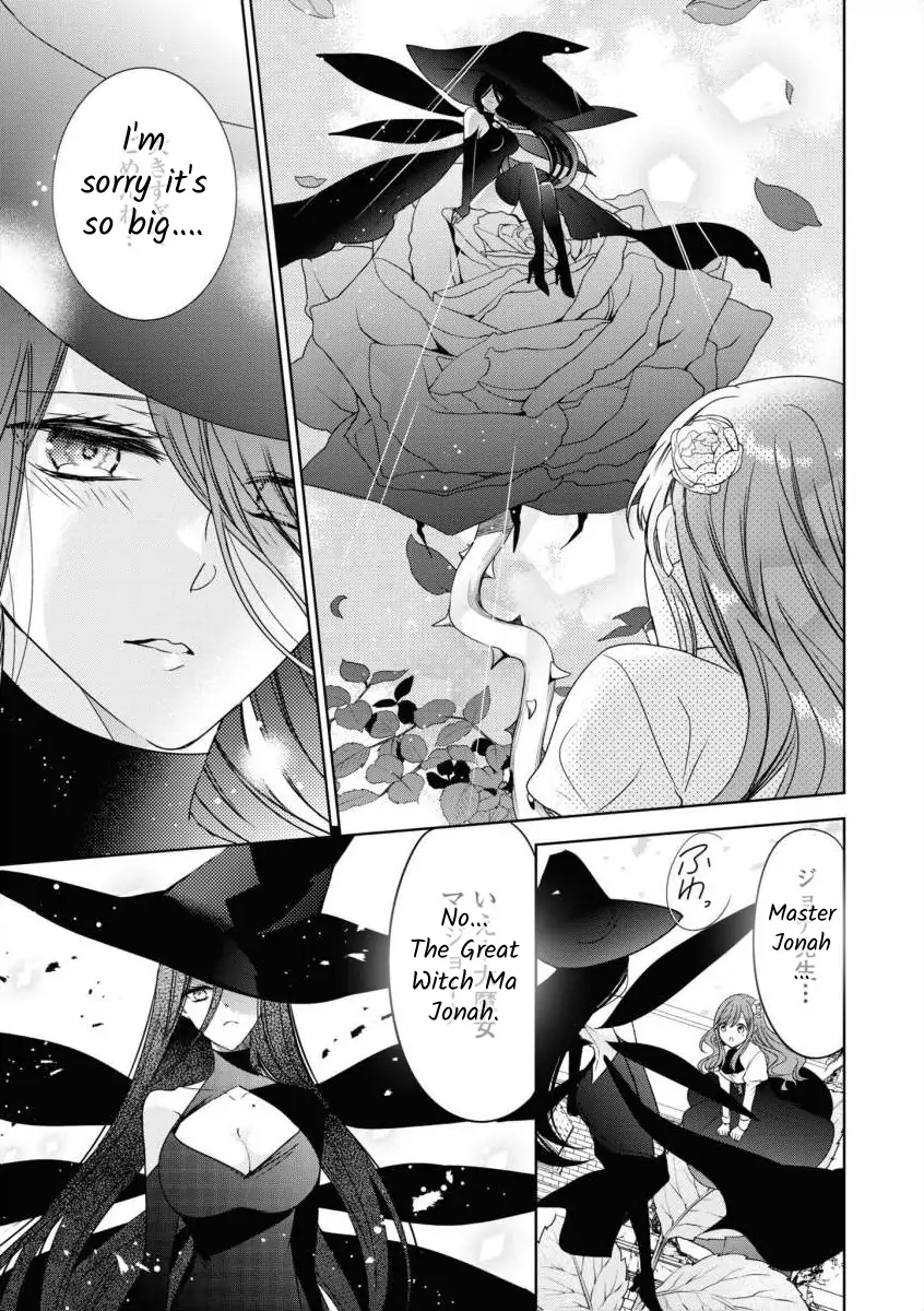 Akuyaku Reijo no Hametsu no Genin desu ga, Noroi no Chikara de Kanojo o Shiawase ni Shiyo to Omoimasu Chapter 1 - page 17