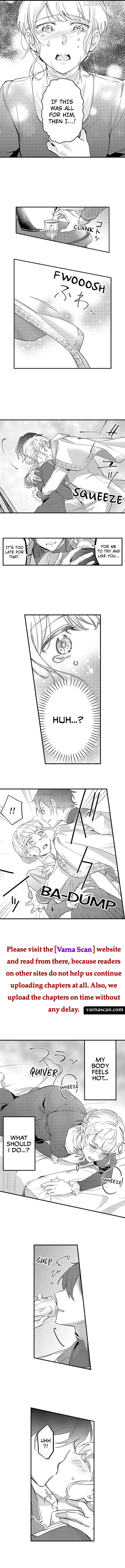 A Night With Prince Charming Stealing the Baron’s Lonely Wife Chapter 3 - page 2