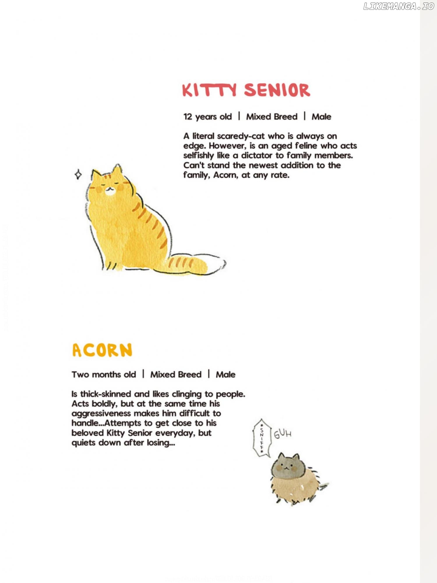 Acorn the Kitty Cat Chapter 22 - page 1