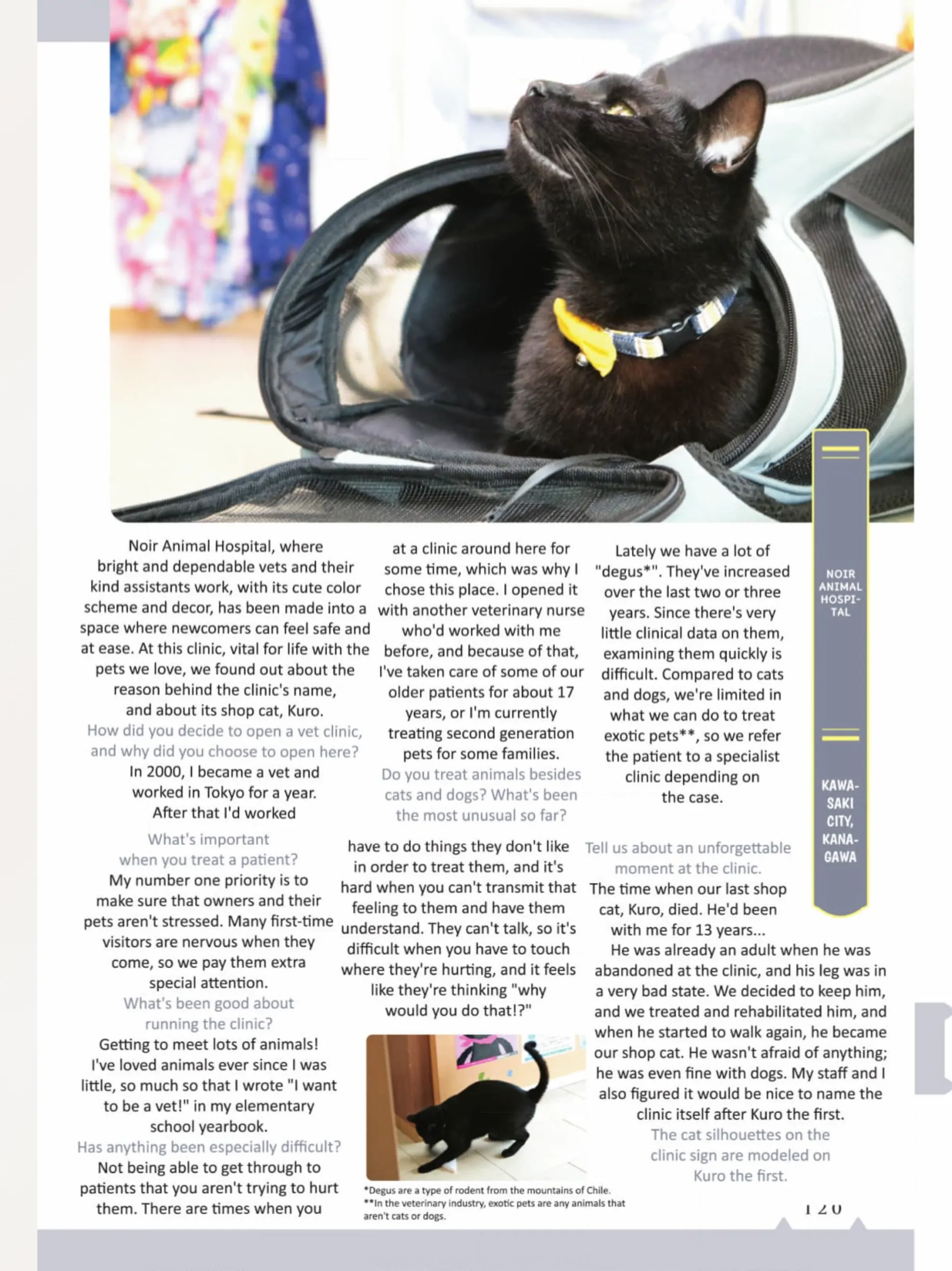 The Shop Cats of Tokyo: A from Cat Avenue Chapter 12 - page 9