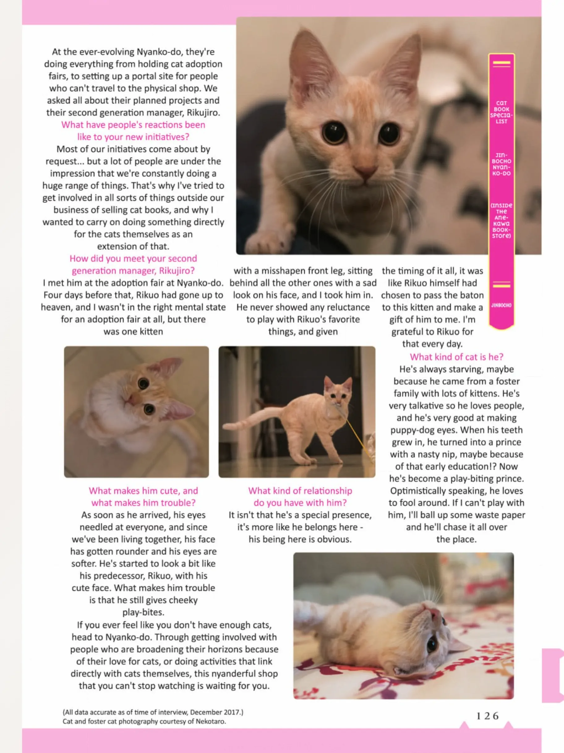 The Shop Cats of Tokyo: A from Cat Avenue Chapter 13 - page 5