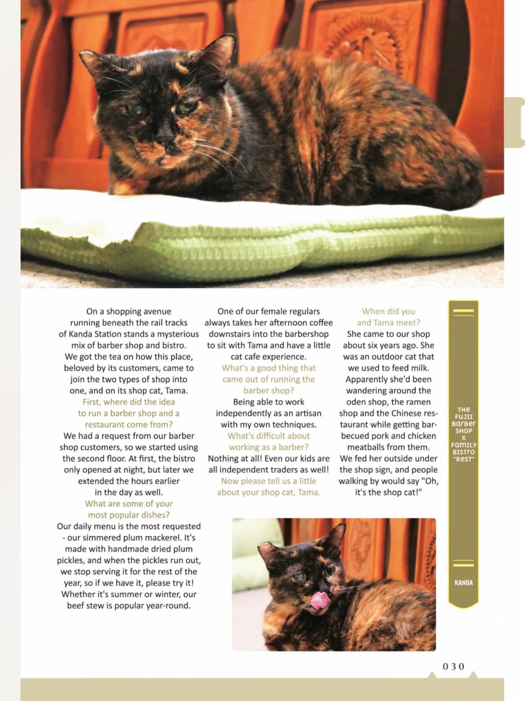 The Shop Cats of Tokyo: A from Cat Avenue Chapter 3 - page 9
