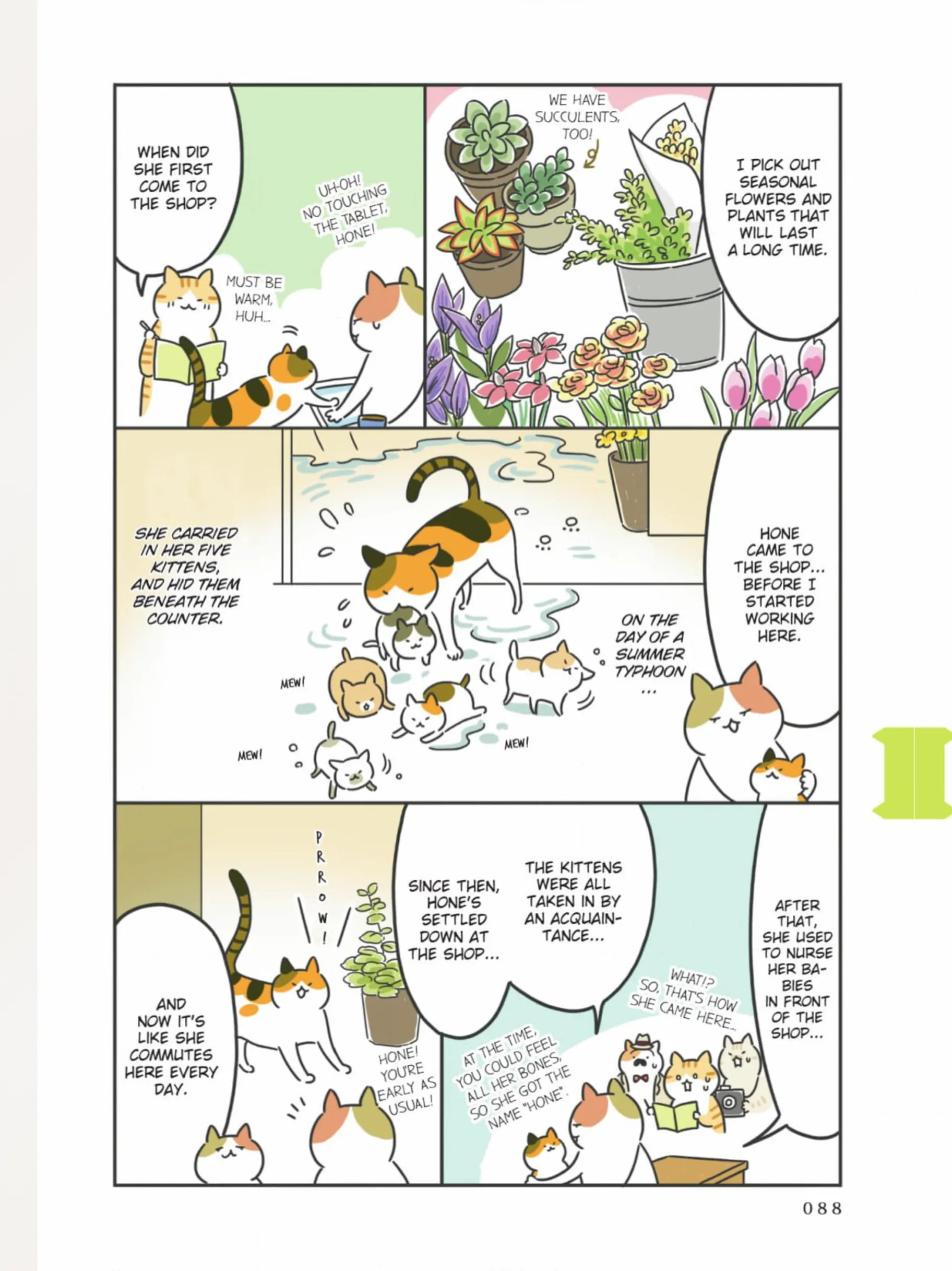 The Shop Cats of Tokyo: A from Cat Avenue Chapter 9 - page 7
