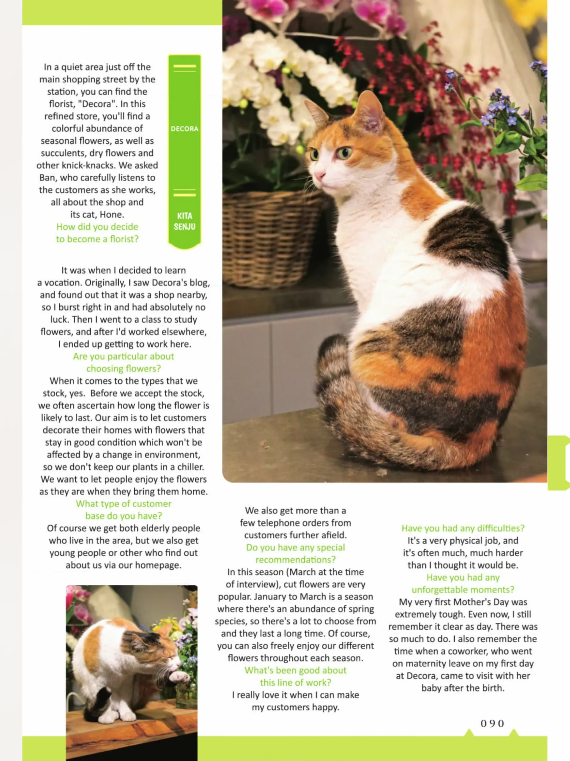 The Shop Cats of Tokyo: A from Cat Avenue Chapter 9 - page 9