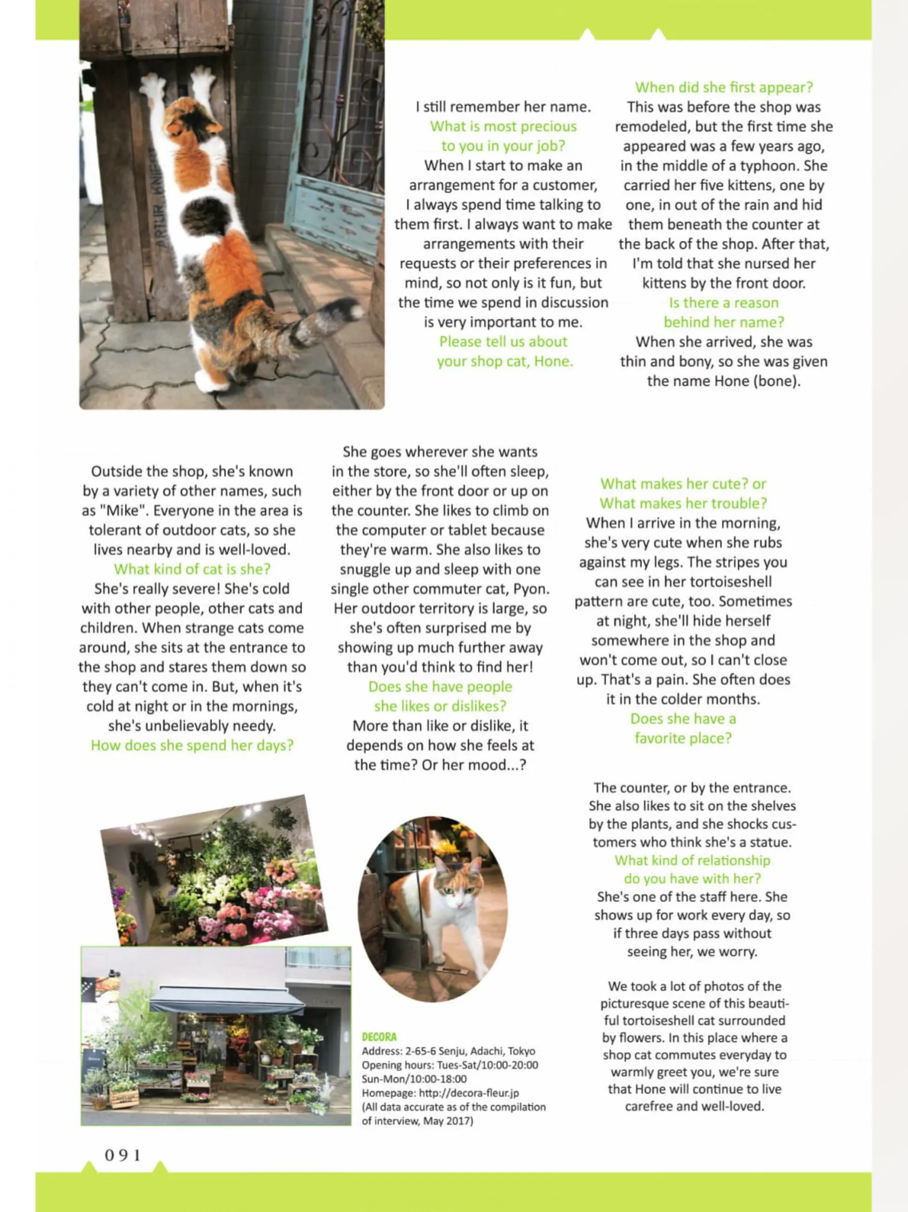 The Shop Cats of Tokyo: A from Cat Avenue Chapter 9 - page 10