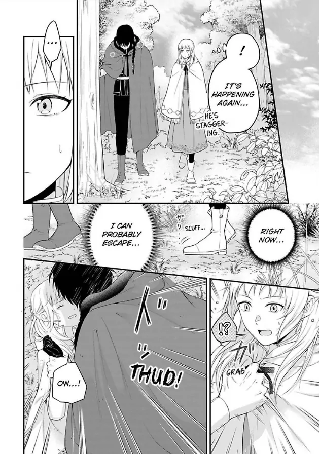 Inju no Kishi wa, Muku na Reijou wo Aishitai Chapter 1 - page 17