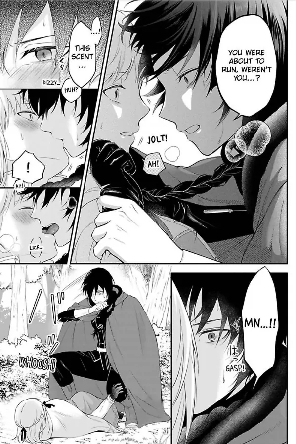 Inju no Kishi wa, Muku na Reijou wo Aishitai Chapter 1 - page 18