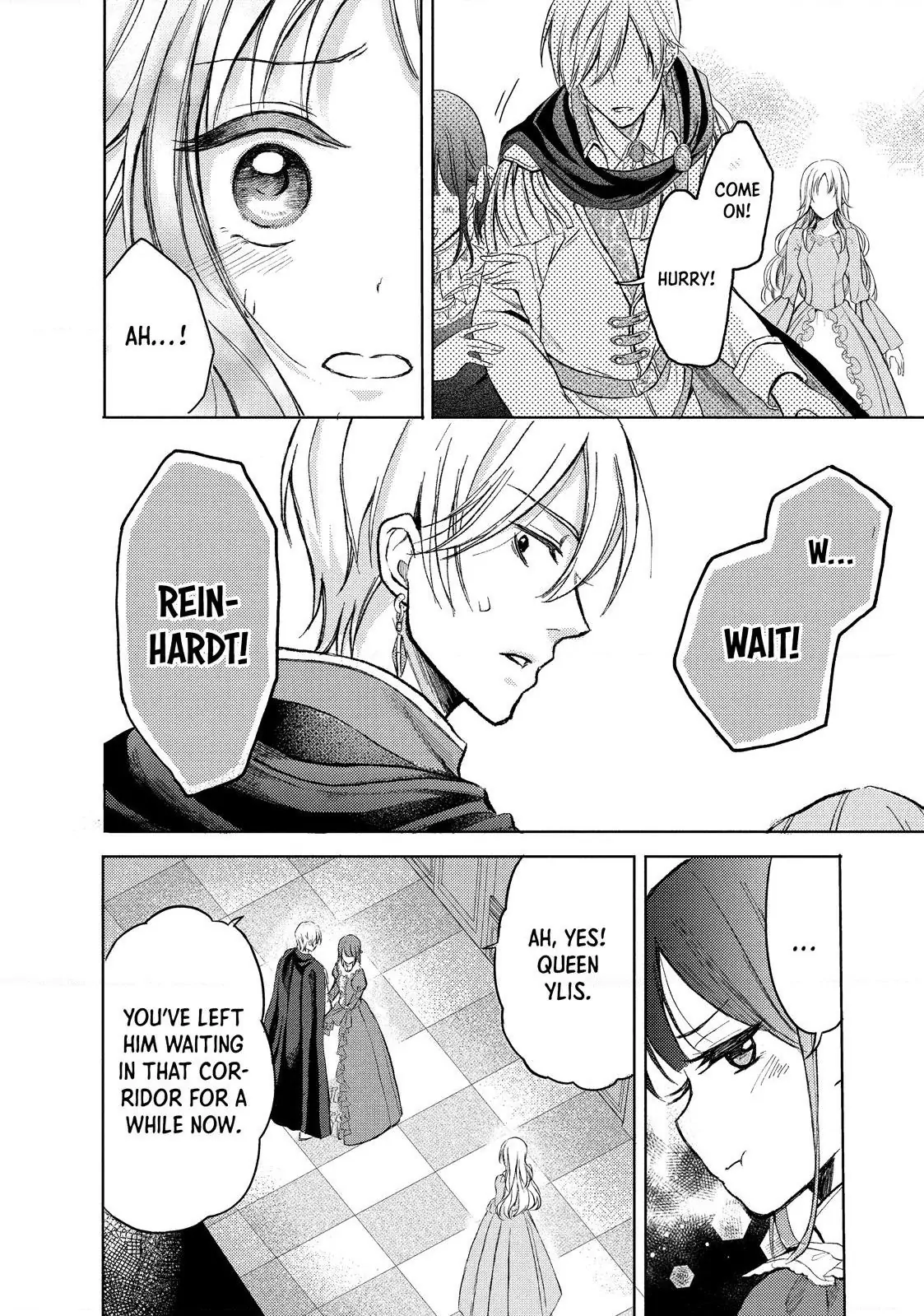 Ouhi-sama wa Rikon shitai - Isekai kara Seijo-sama ga Kita no de, Mou Oyaku Gomen desu wa ne? Chapter 2.1 - page 5