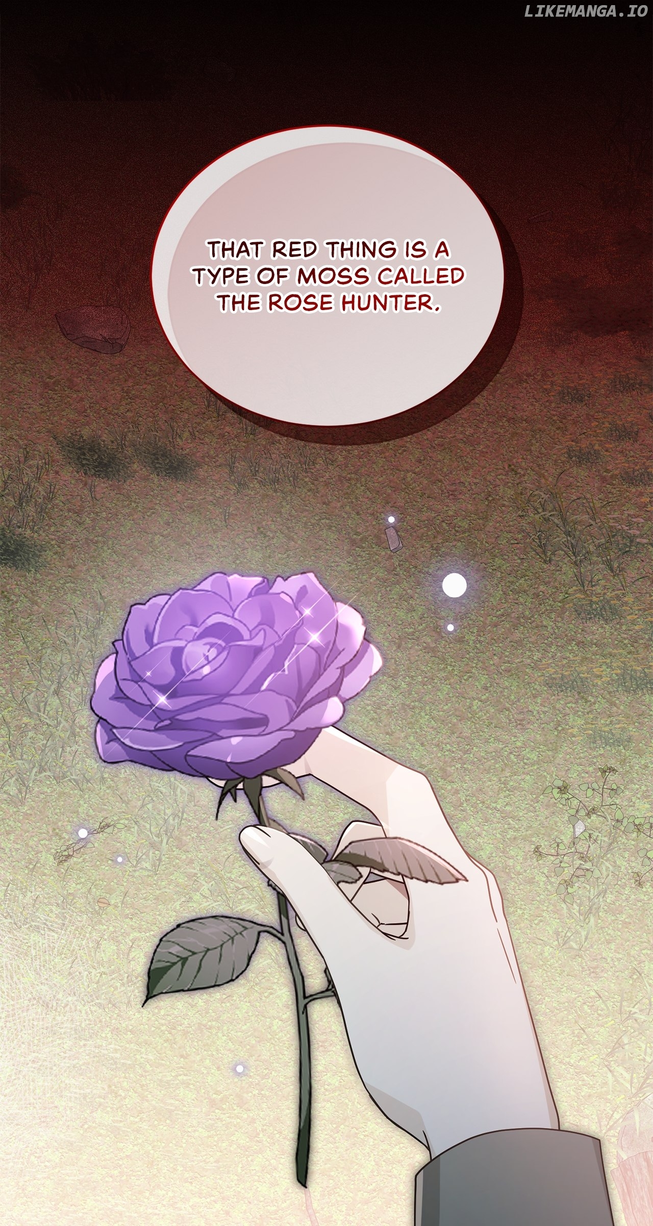 I’m the Wife of the Yandere Second Male Lead Chapter 51 - page 58