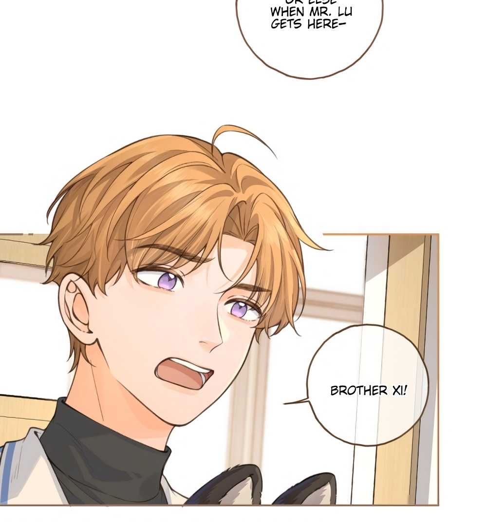 I Just Want To Mooch Off Your Luck Chapter 49 - page 47
