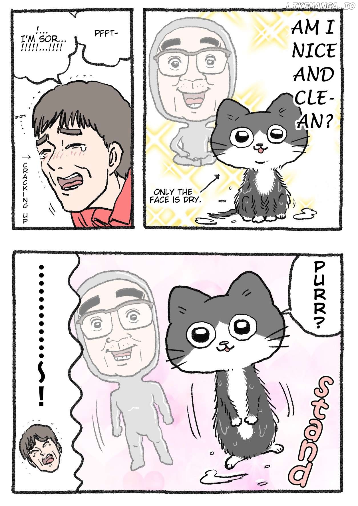 The Old Man Who Was Reincarnated As A Cat Chapter 551 - page 2