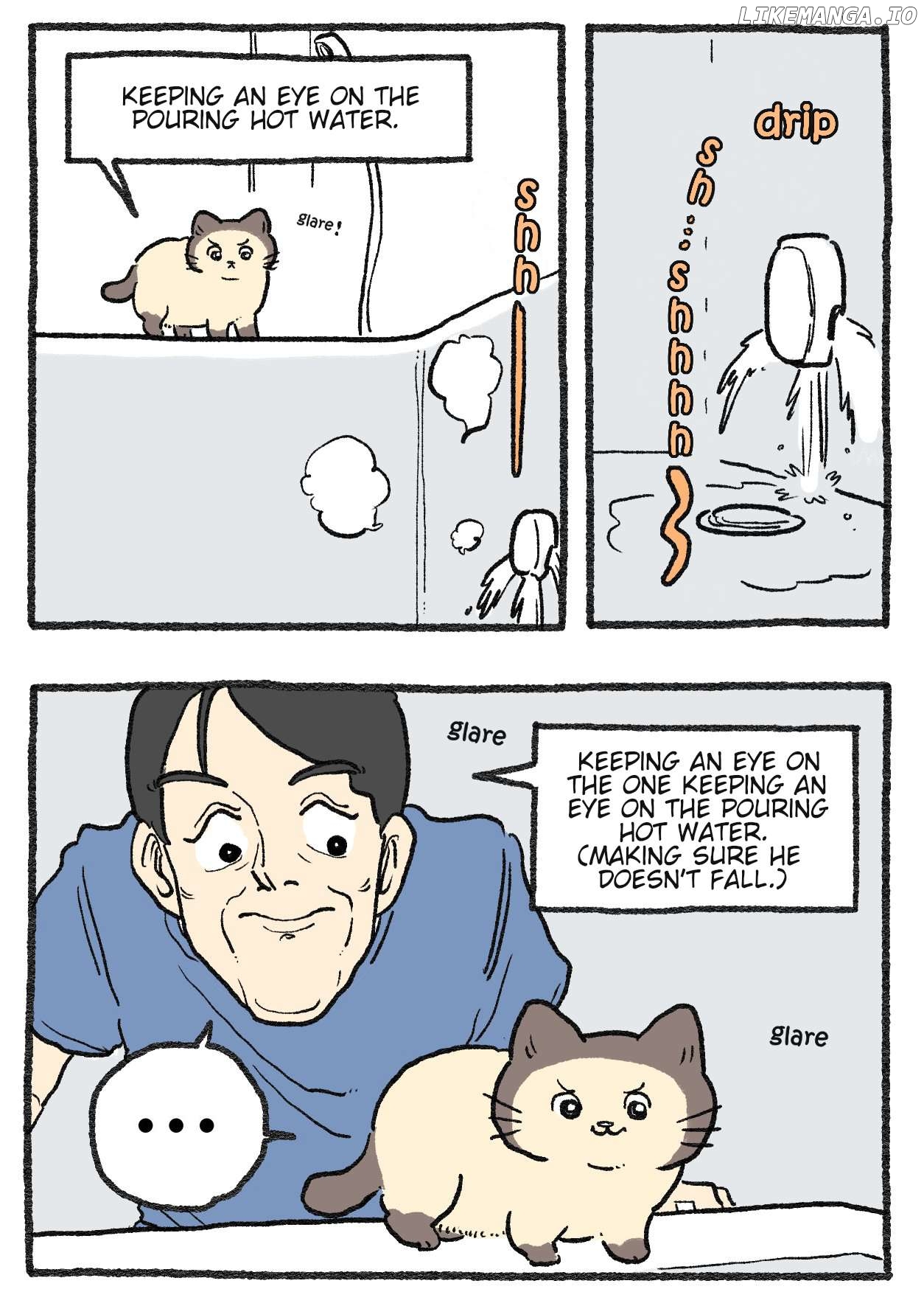 The Old Man Who Was Reincarnated As A Cat Chapter 554 - page 2