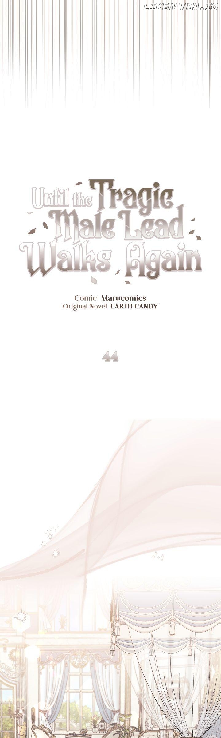 A Flowery Path for the Devastated Male Lead Chapter 44 - page 11