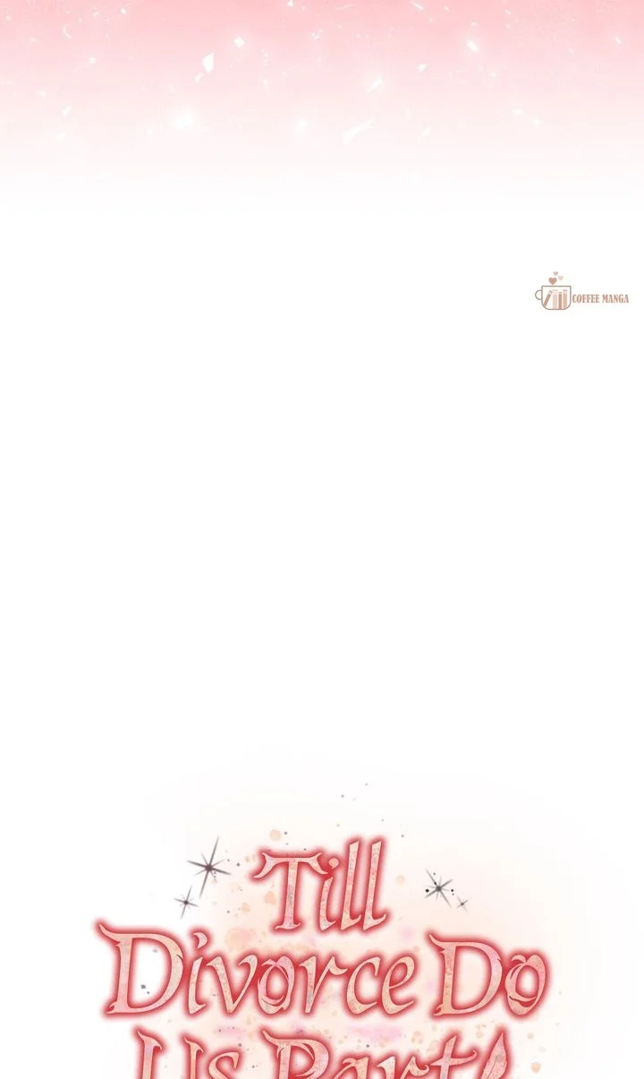 Till Divorce Do Us Part! Chapter 45 - page 12
