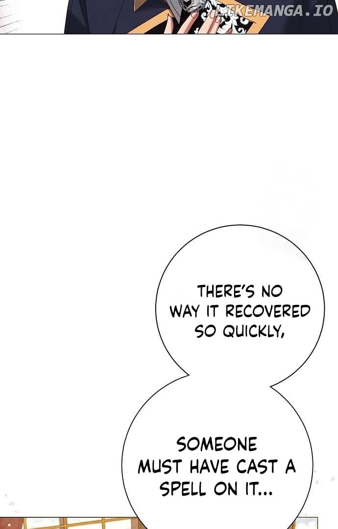 Before the Real Heroine Steps In Chapter 33 - page 25