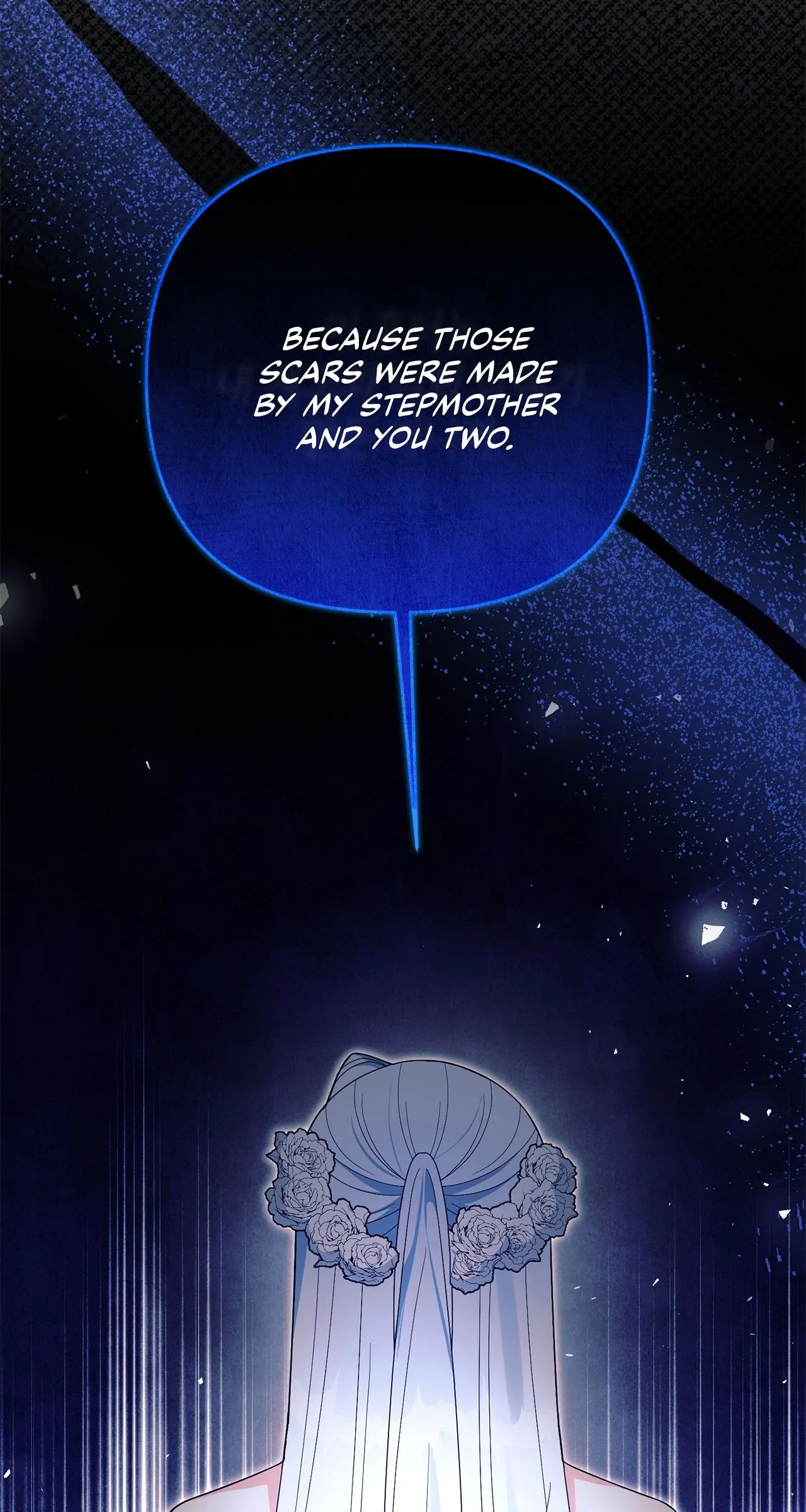 No, I Only Charmed the Princess! Chapter 27 - page 9