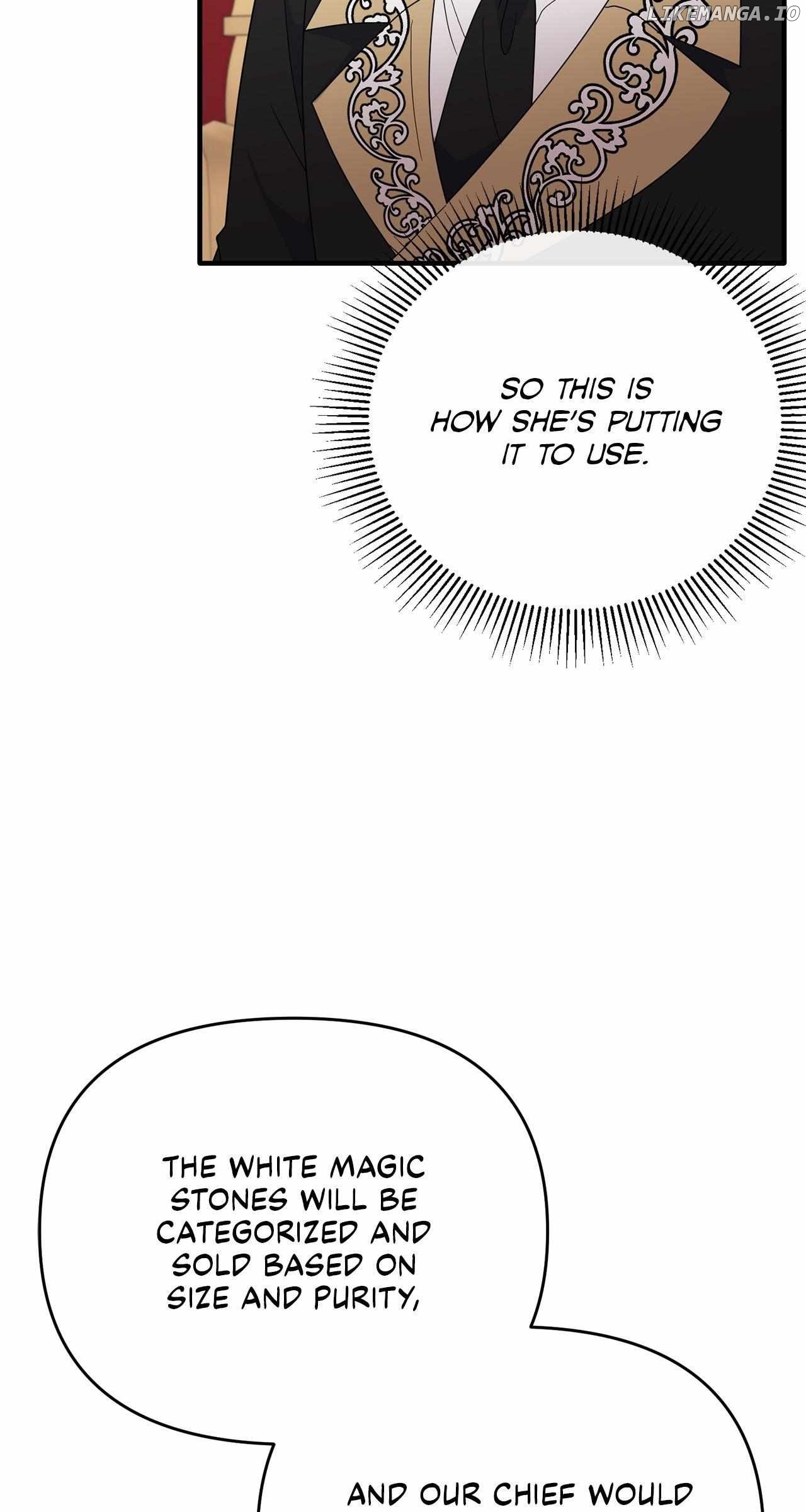 No, I Only Charmed the Princess! Chapter 29 - page 27