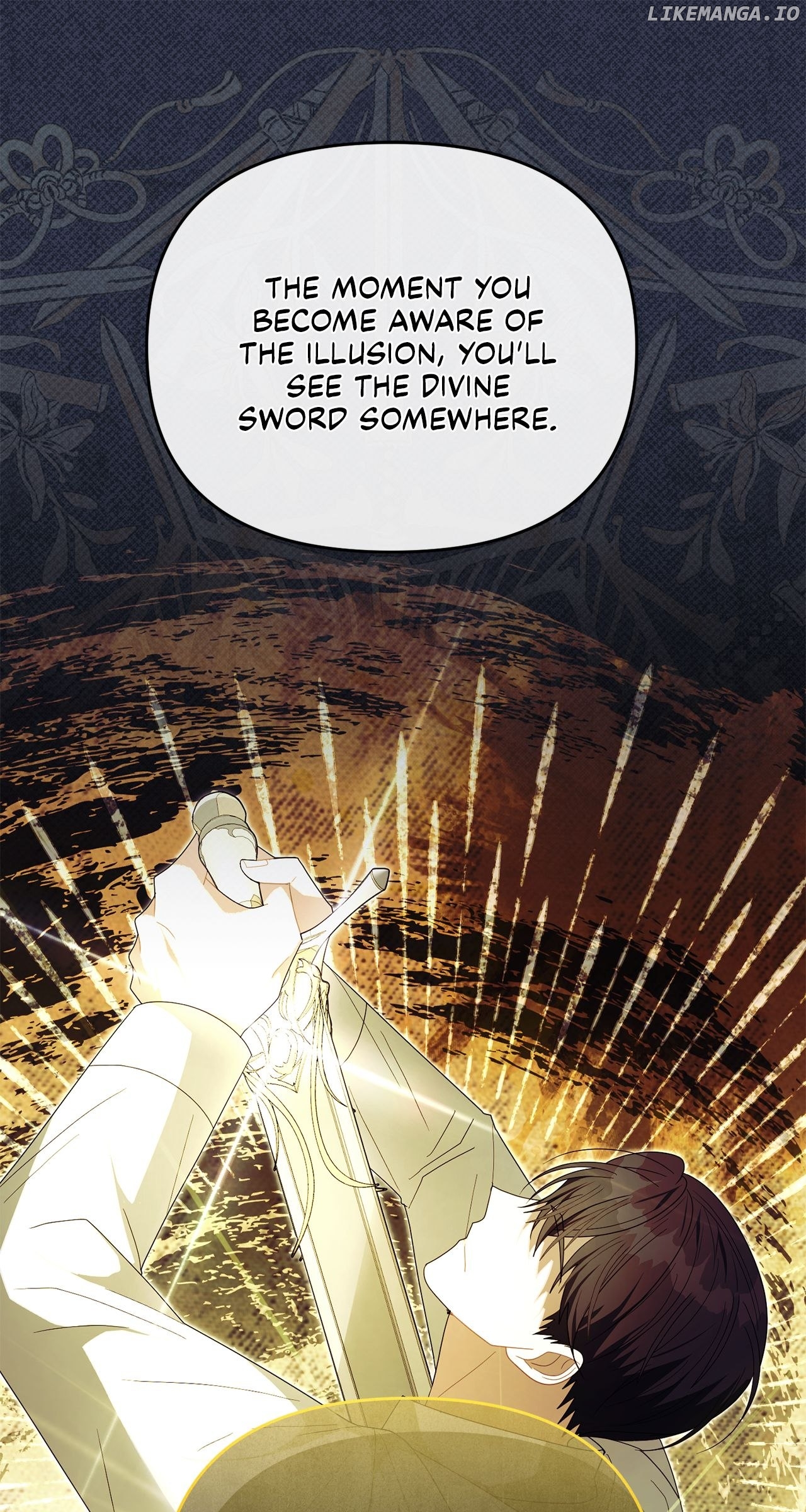 No, I Only Charmed the Princess! Chapter 31 - page 11