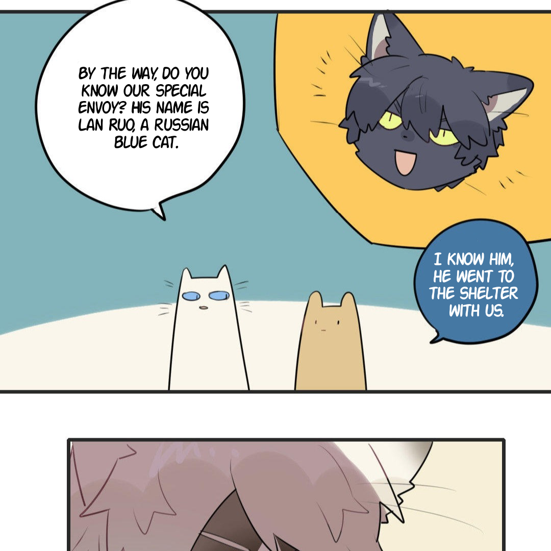 Catman and Dogman Chapter 215 - page 12