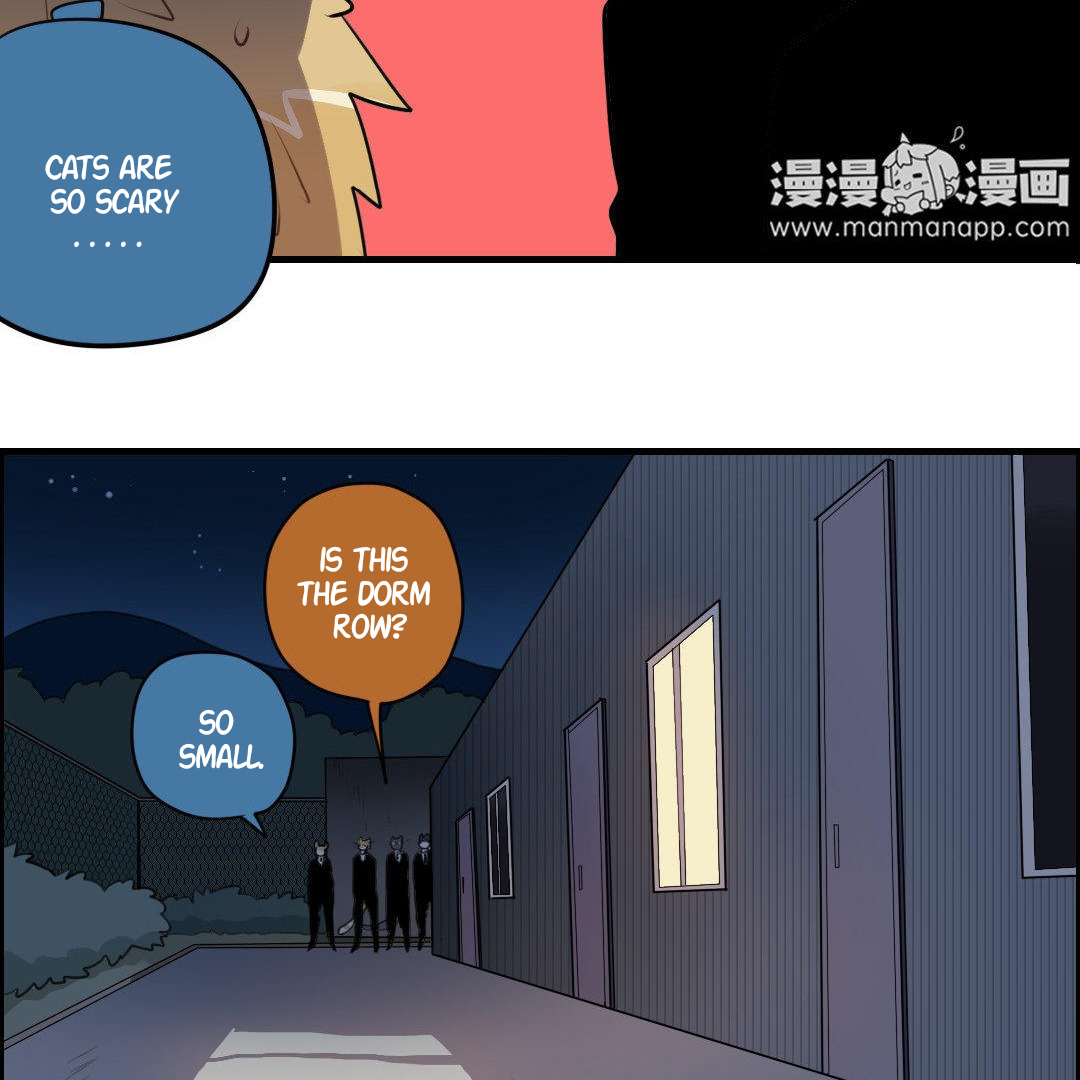 Catman and Dogman Chapter 216 - page 19