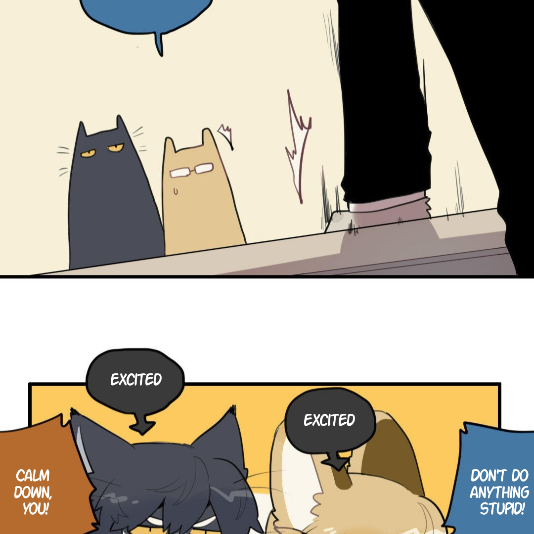 Catman and Dogman Chapter 229 - page 19