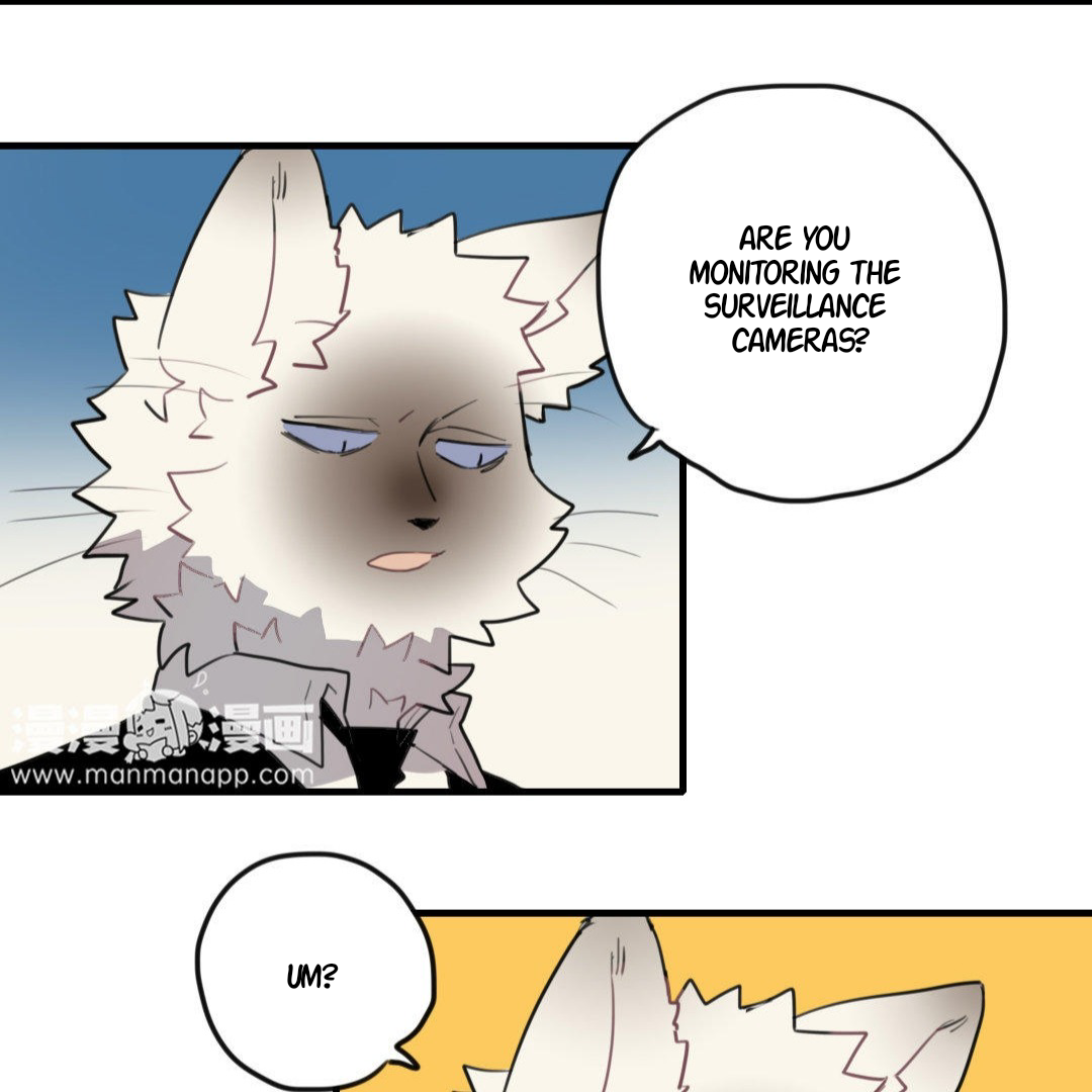 Catman and Dogman Chapter 230 - page 5