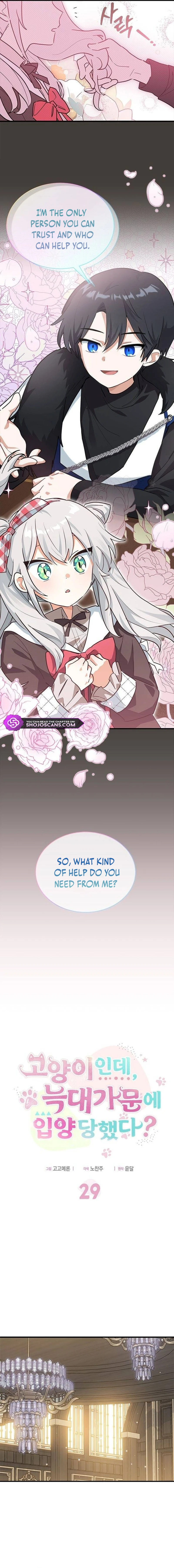 You’re a Cat, But You’ve Been Adopted by a Wolf Family? Chapter 29 - page 2