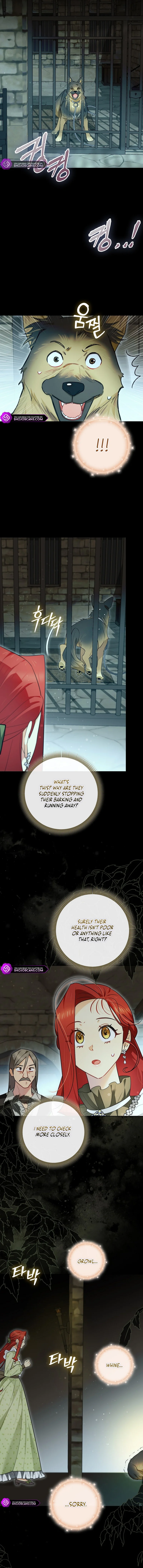 Even Though I Transmigrated as a Villainess, I’d Rather Raise a Cat Chapter 30 - page 11